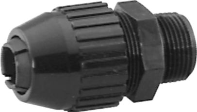 DV_ZoomOriginal_I_53316.jpg