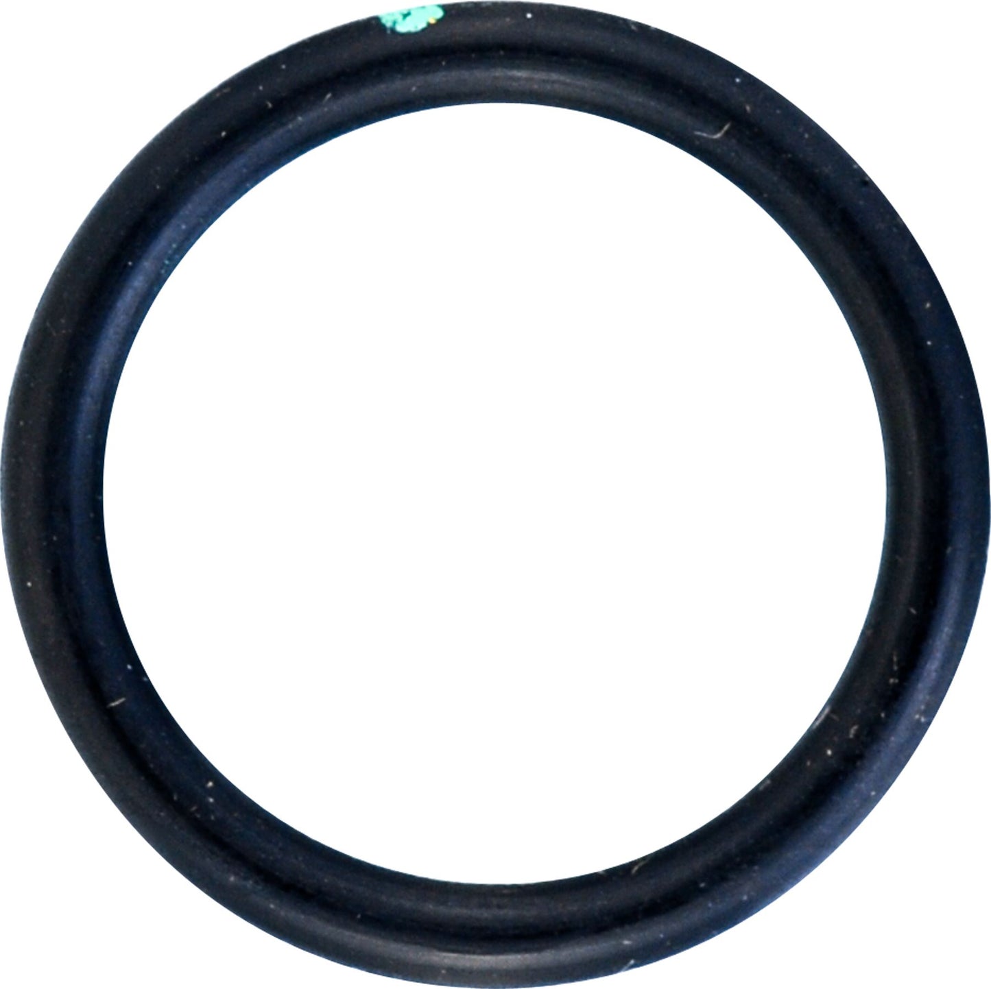 DV_ZoomOriginal_I_53554.jpg