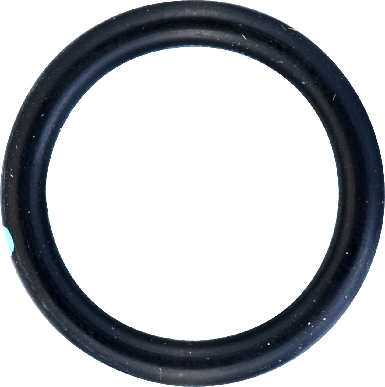 DV_ZoomOriginal_I_53559.jpg