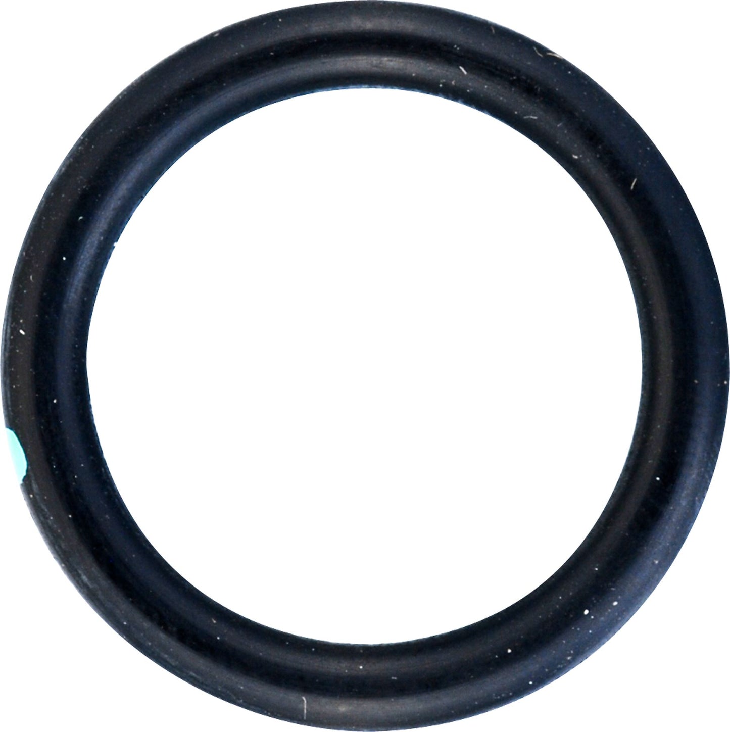 DV_ZoomOriginal_I_53559.jpg