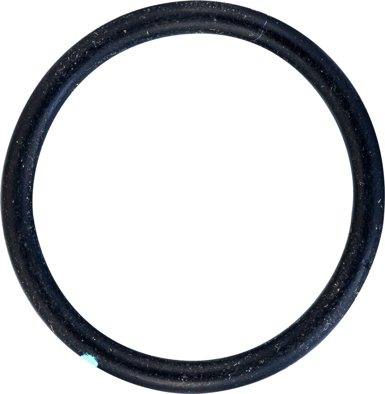 DV_ZoomOriginal_I_53562.jpg