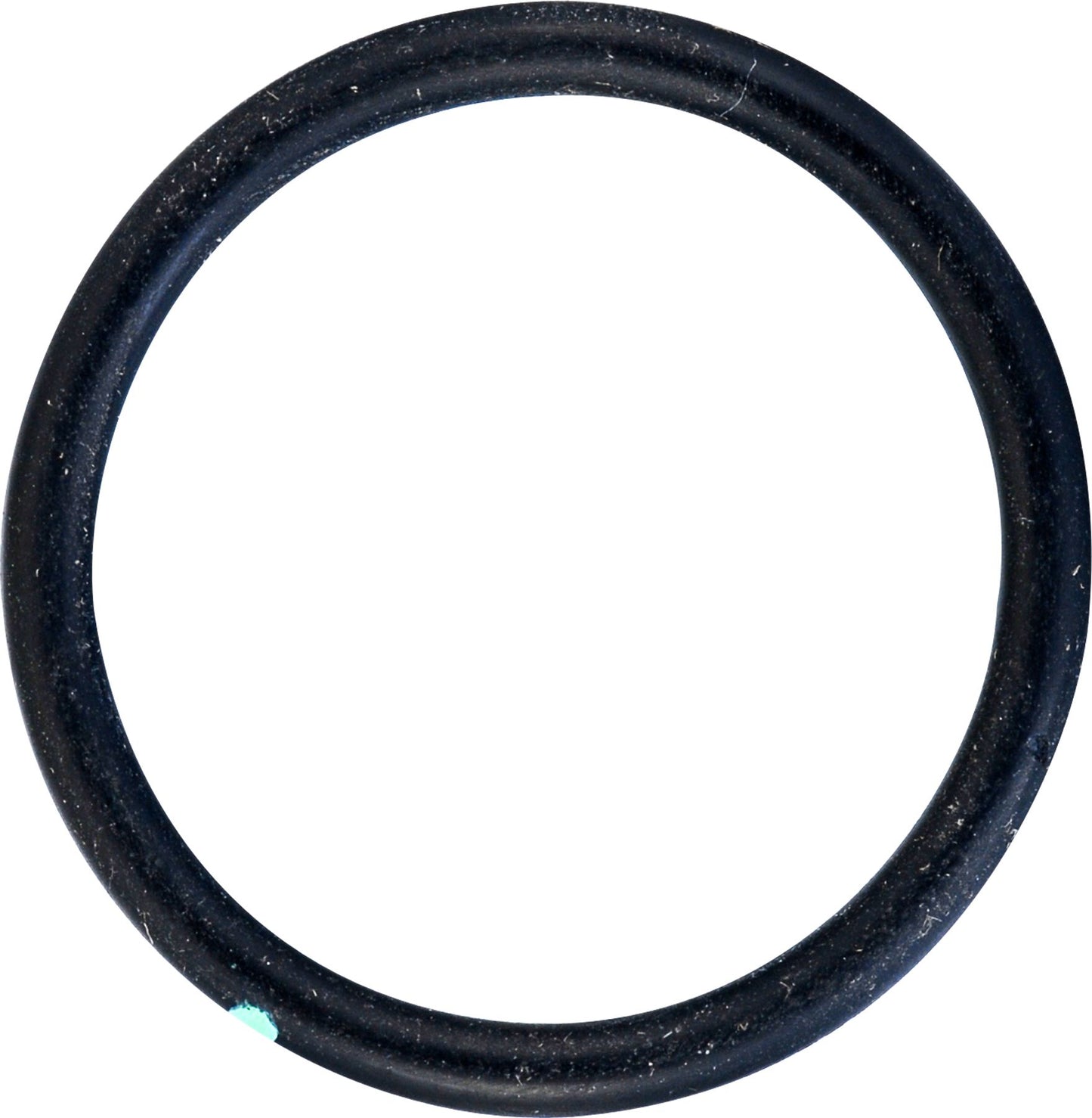 DV_ZoomOriginal_I_53562.jpg