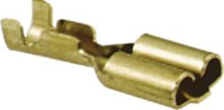 DV_ZoomOriginal_I_54065.jpg