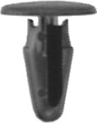 DV_ZoomOriginal_I_54230.jpg