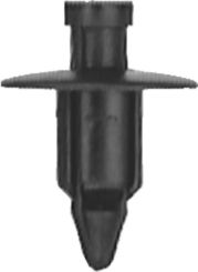 DV_ZoomOriginal_I_54297.jpg