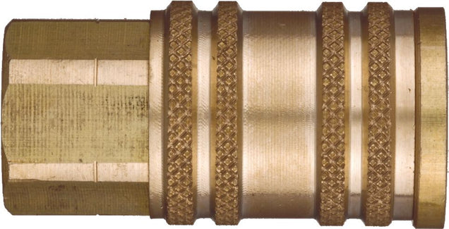 DV_ZoomOriginal_I_54563.jpg
