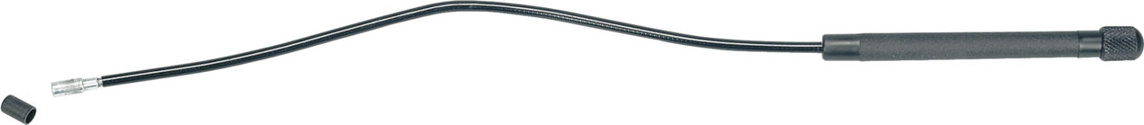 DV_ZoomOriginal_I_54744.jpg