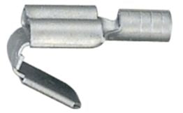 DV_ZoomOriginal_I_5616.jpg