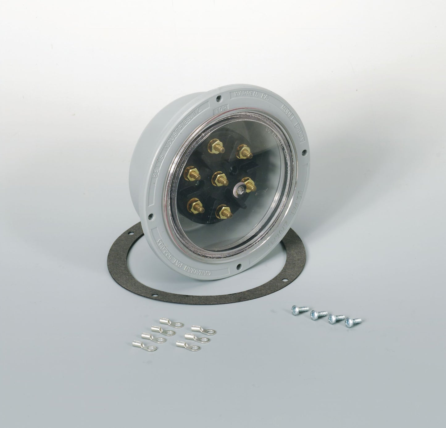 DV_ZoomOriginal_I_57492.jpg
