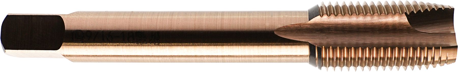 DV_ZoomOriginal_I_61139.jpg