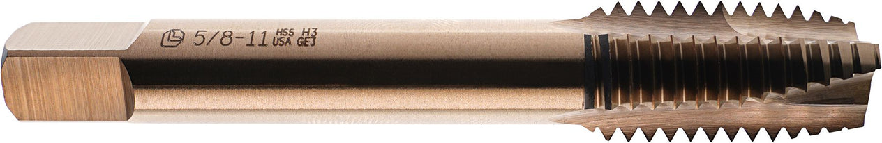 DV_ZoomOriginal_I_61142.jpg