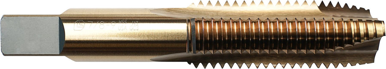 DV_ZoomOriginal_I_61146.jpg
