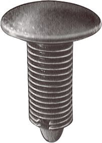 DV_ZoomOriginal_I_61590.jpg