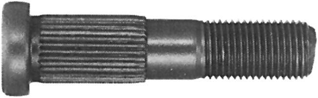DV_ZoomOriginal_I_6874.jpg