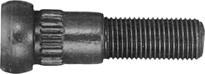 DV_ZoomOriginal_I_81228.jpg