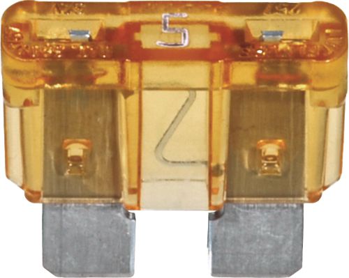 DV_ZoomOriginal_I_83025.jpg