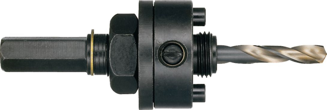 DV_ZoomOriginal_I_85482.jpg