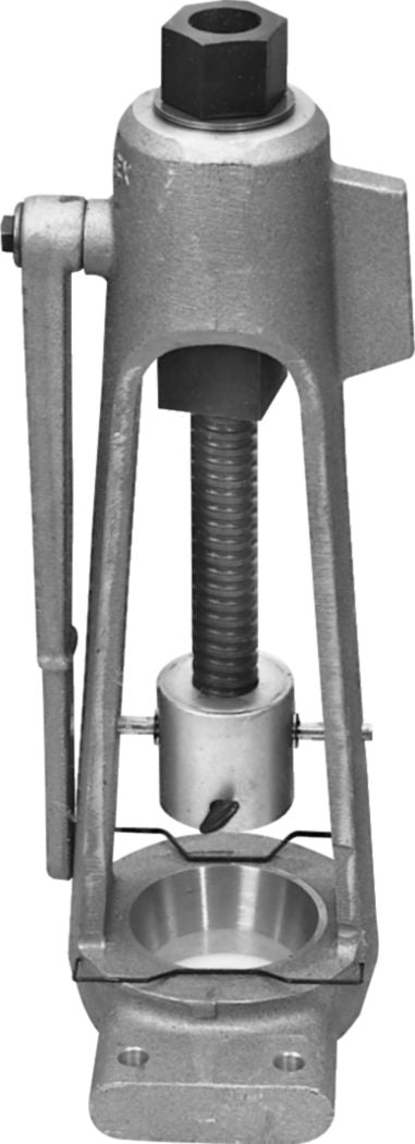 DV_ZoomOriginal_I_88811.jpg