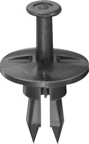 DV_ZoomOriginal_I_89142.jpg