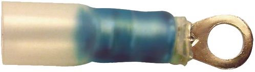 DV_ZoomOriginal_I_90874.jpg