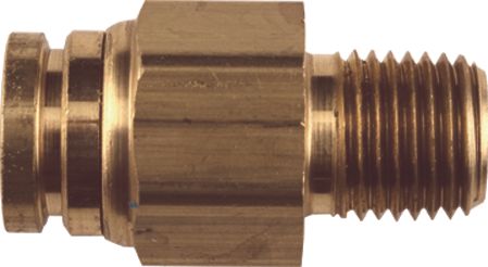 DV_ZoomOriginal_I_91788.jpg