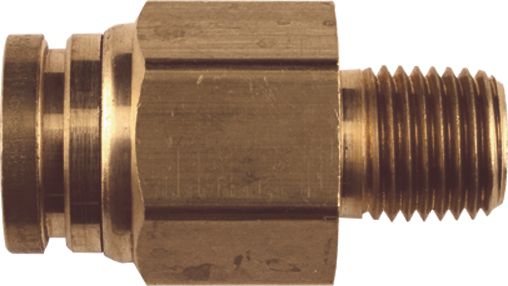 DV_ZoomOriginal_I_91791.jpg