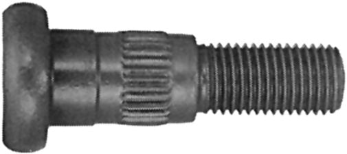 DV_ZoomOriginal_I_92495.jpg