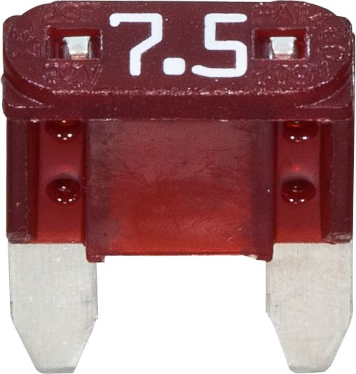DV_ZoomOriginal_I_95701.jpg