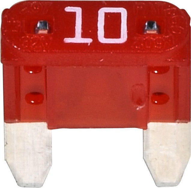 DV_ZoomOriginal_I_95702.jpg