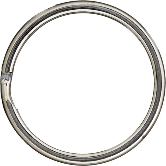 DV_ZoomOriginal_I_95873.jpg