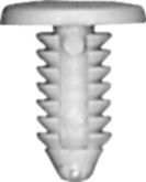 DV_ZoomOriginal_I_96293.jpg