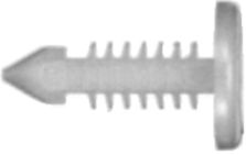 DV_ZoomOriginal_I_96294.jpg