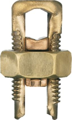 DV_ZoomOriginal_I_98079.jpg