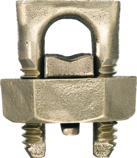 DV_ZoomOriginal_I_98083.jpg