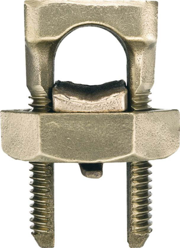 DV_ZoomOriginal_I_98086.jpg