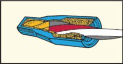 DV_ZoomOriginal_I_98952_LD1.jpg