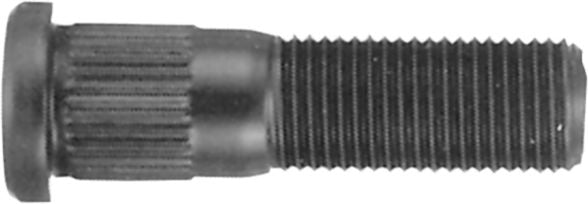 DV_ZoomOriginal_I_99702.jpg