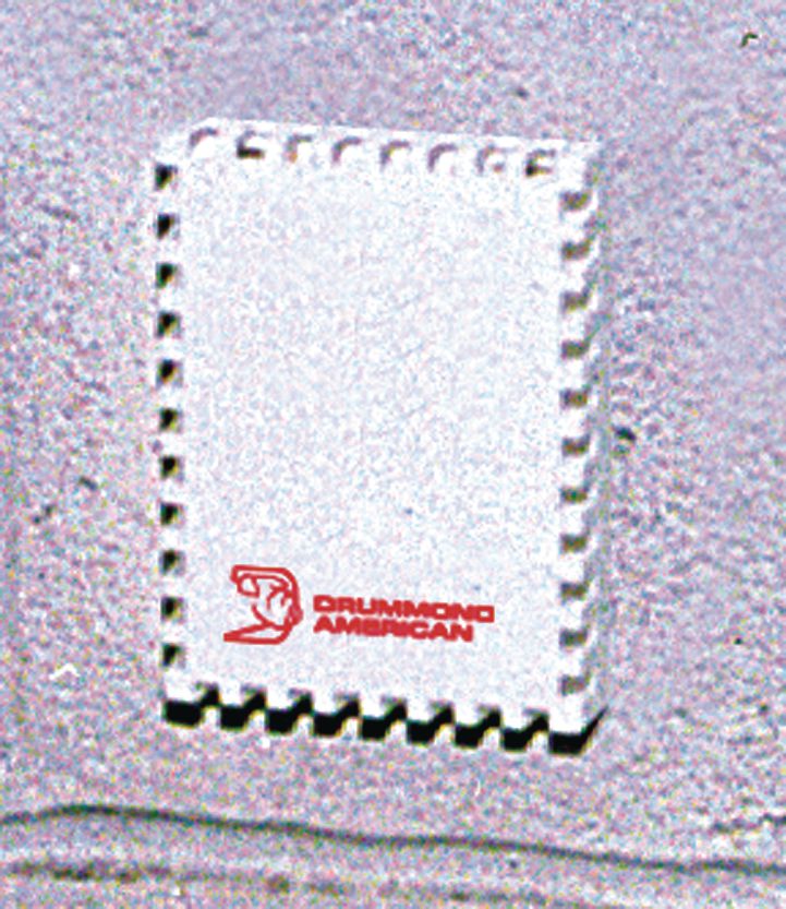 DV_ZoomOriginal_I_DD1313.jpg