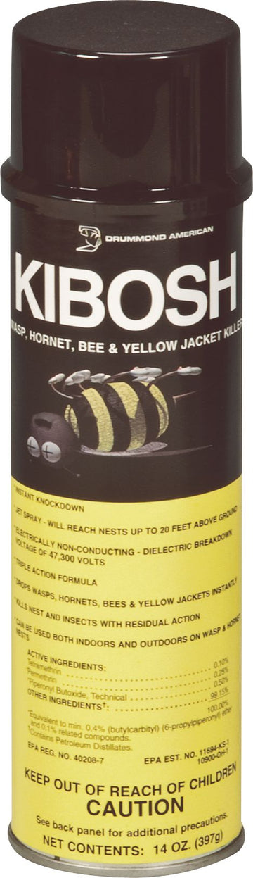 Insect
