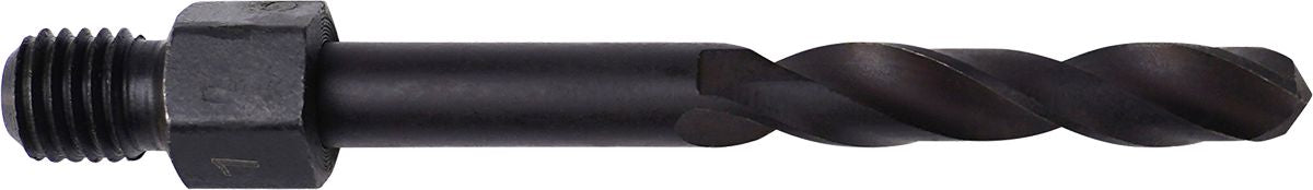 DV_ZoomOriginal_I_DY80810011.jpg