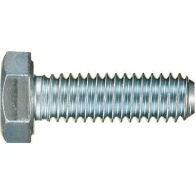 DV_ZoomOriginal_I_FA65017_WB.jpg