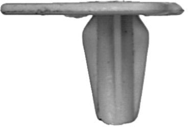 DV_ZoomOriginal_I_KT11142.jpg