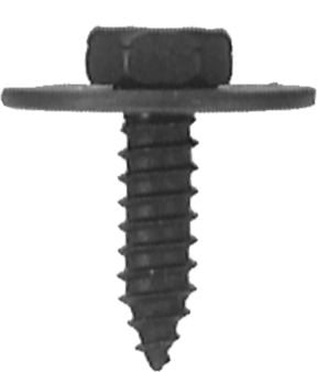 DV_ZoomOriginal_I_KT11223.jpg