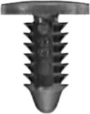 DV_ZoomOriginal_I_KT11237.jpg