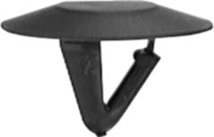 DV_ZoomOriginal_I_KT11331.jpg