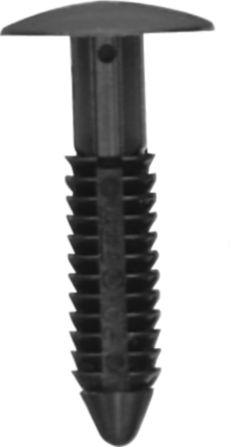 DV_ZoomOriginal_I_KT11346.jpg