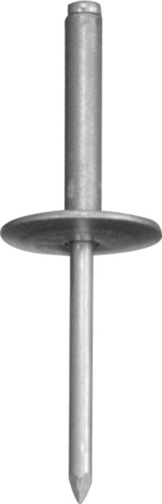DV_ZoomOriginal_I_KT11365.jpg