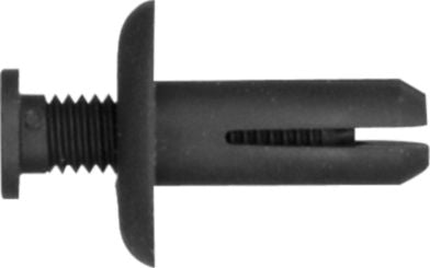 DV_ZoomOriginal_I_KT11366.jpg