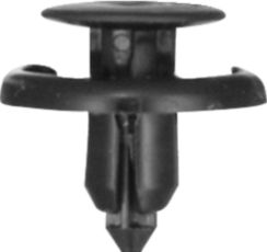 DV_ZoomOriginal_I_KT11376.jpg