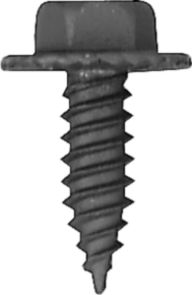 DV_ZoomOriginal_I_KT11425.jpg